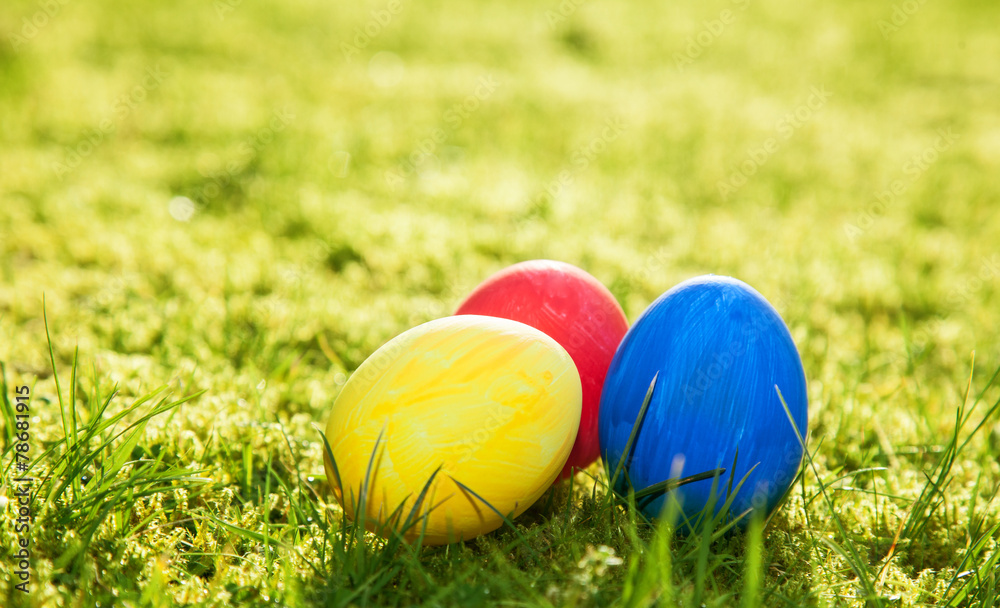 Easter eggs lying on meadow