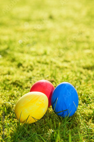Easter eggs lying on meadow