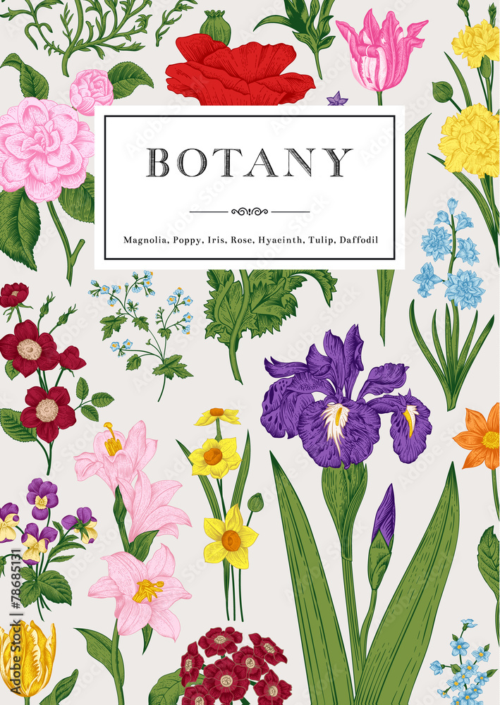 Naklejka premium Botany. Vintage floral card.