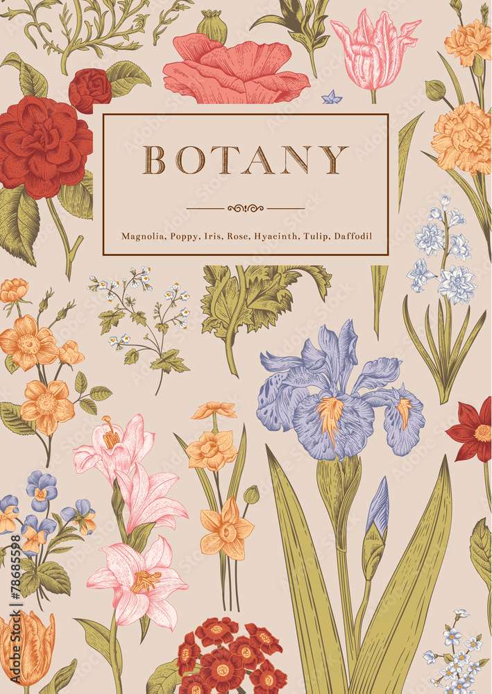 Naklejka premium Botany. Vintage floral card.