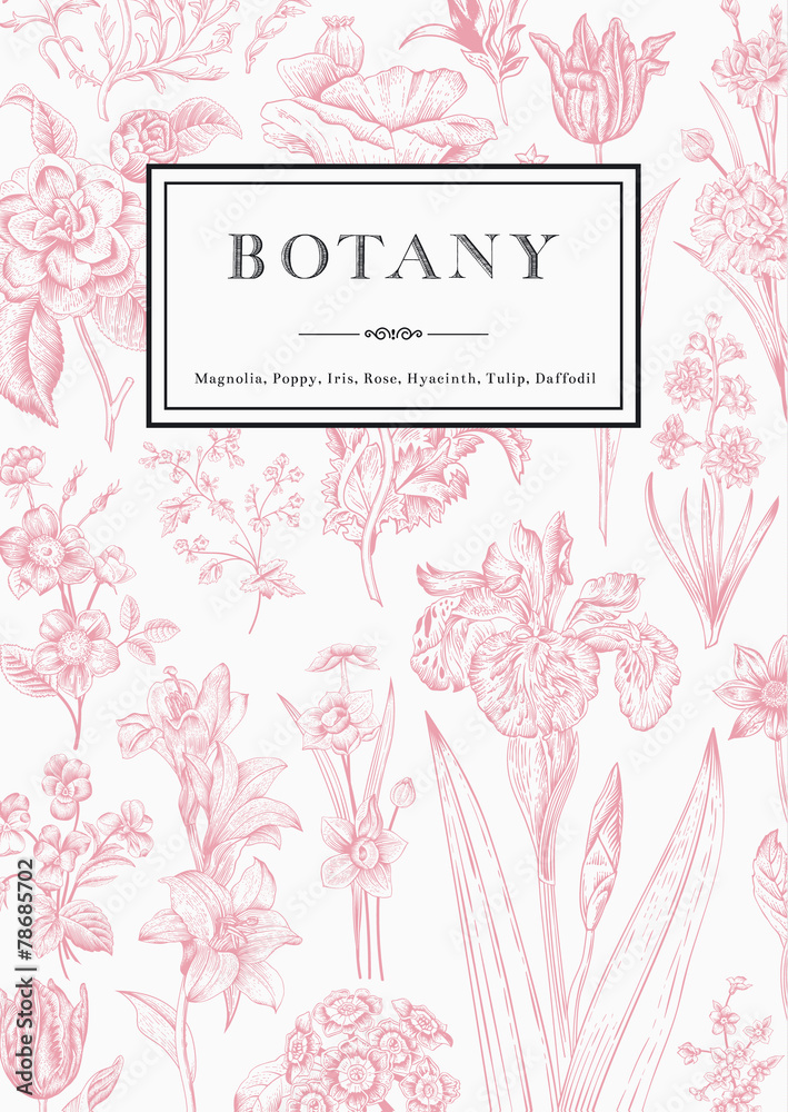 Fototapeta premium Botany. Vintage floral card.