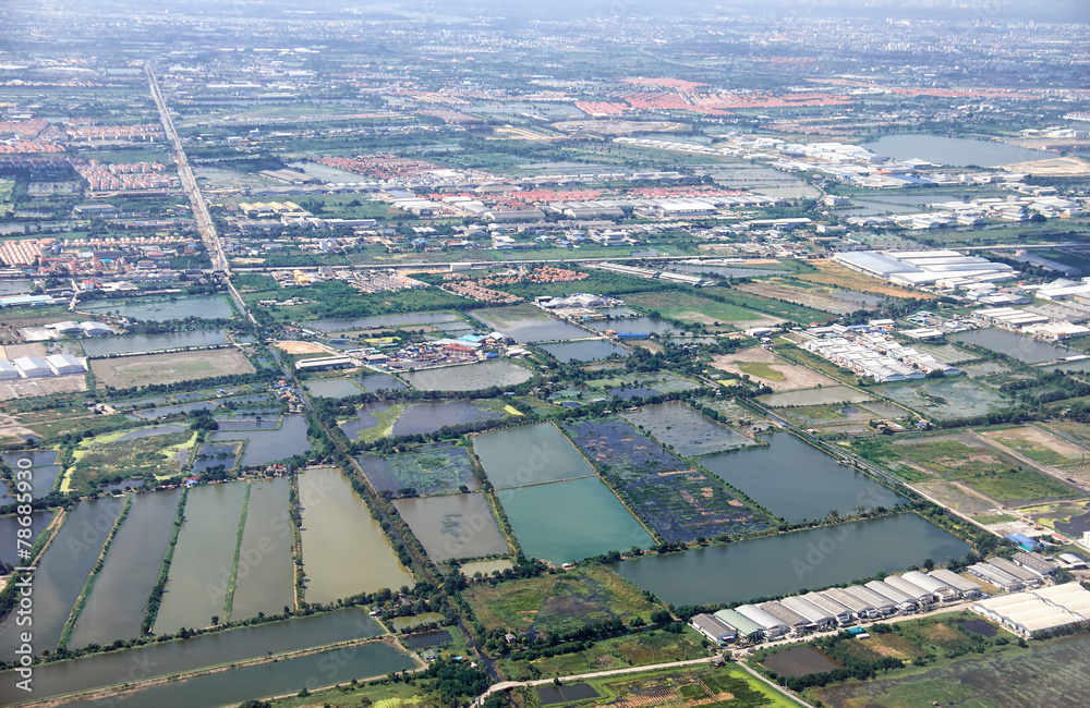 Bird's-eye view on  rice fields Bangkok vicinity