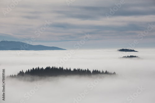 inversion fog in black forest, southwest Germany