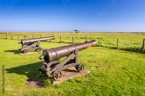 Historical bronze cannon on the south peninsula of Oland island