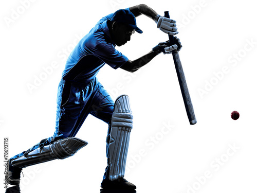 Cricket player  batsman silhouette