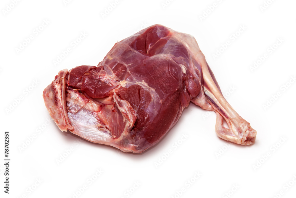 Haunch of venison (Muntjac) on a white background.
