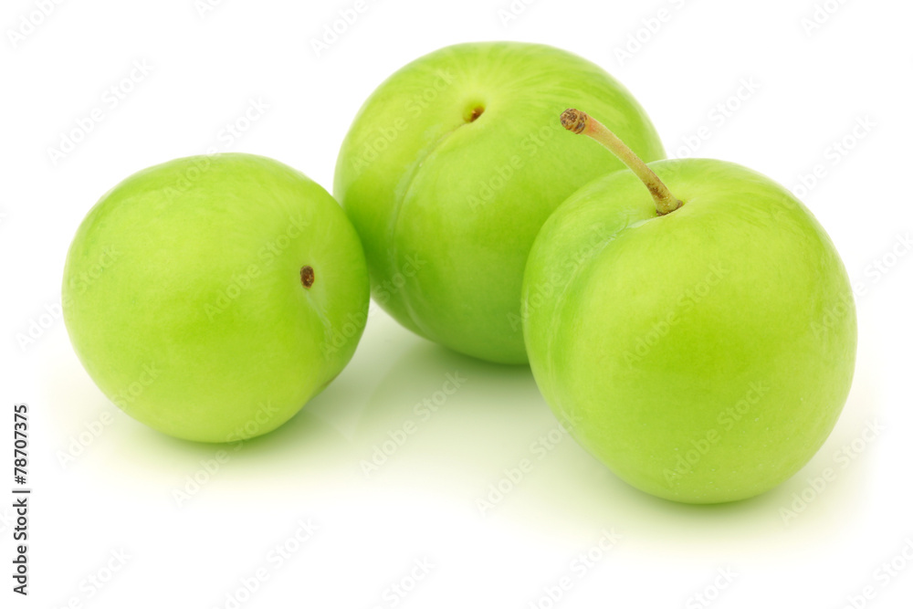 fresh jujube fruit (Ziziphus jujuba) on a white background fresh jujube fruit (Ziziphus jujuba) on a white background