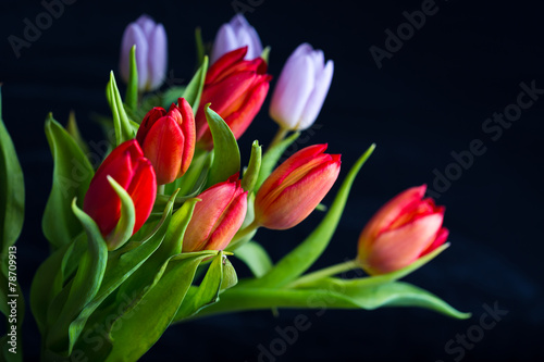 Fototapeta Naklejka Na Ścianę i Meble -  tulips bouquet isolated on black background