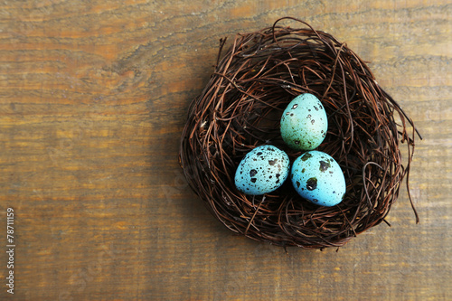 Bird blue eggs in nest on wooden background