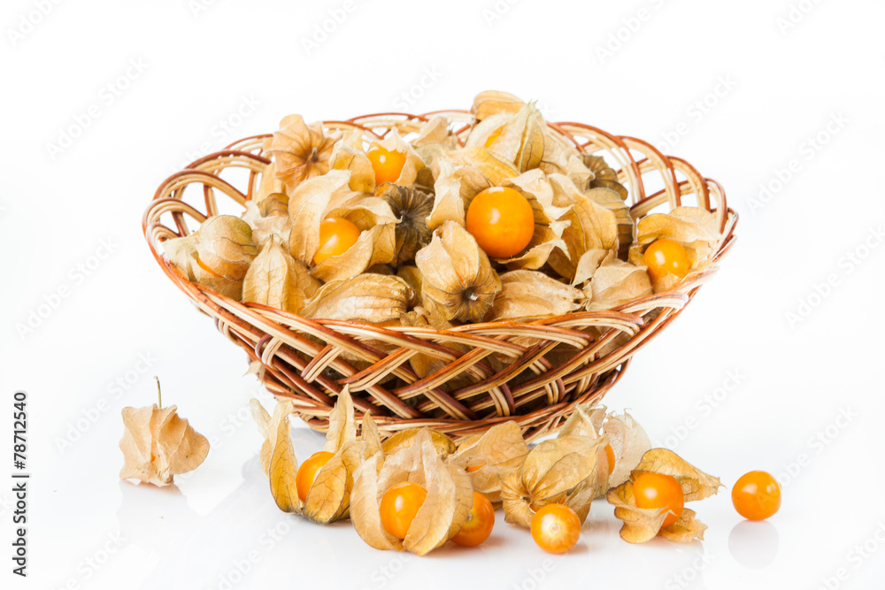 physalis isolated on white background physalis isolated on white background
