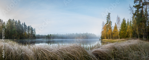 Foggy forest lake