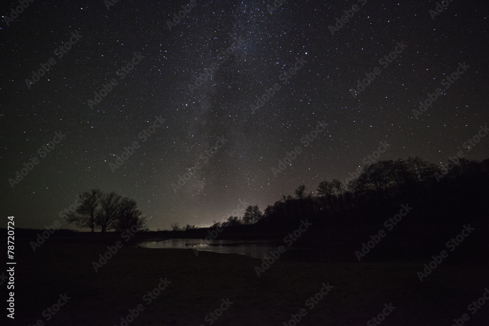 a beautiful night sky, the Milky Way and the trees