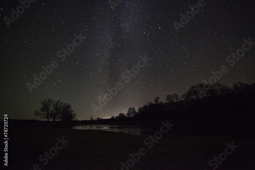 a beautiful night sky, the Milky Way and the trees © snike