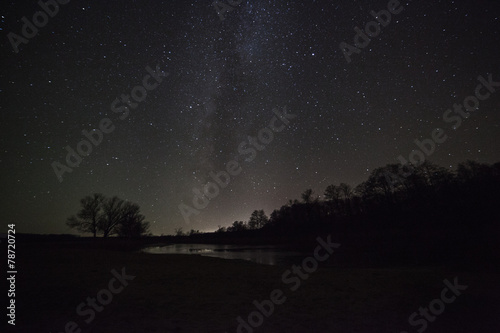 a beautiful night sky, the Milky Way and the trees