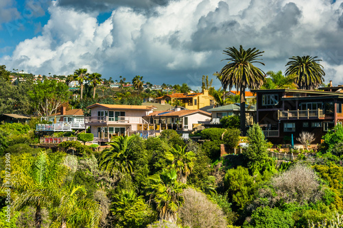 Palm trees and houses on a hill in San Clemente, California.