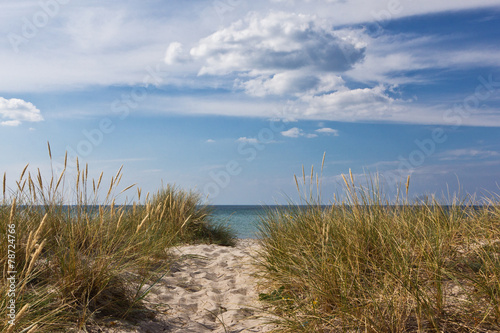 Strand in Tisvildeleje - Dänemark 2 photo