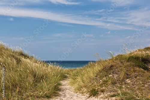 Strand in Tisvildeleje - Dänemark 3