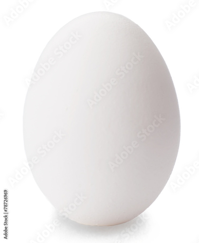 White egg isolated on white background.