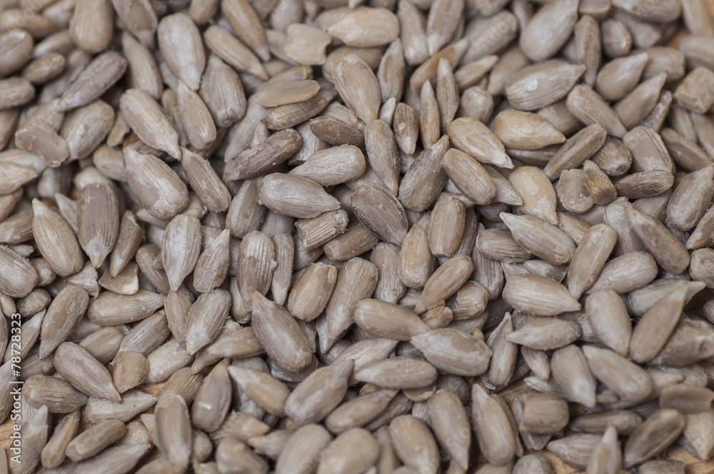 Sunflower seed background Sunflower seed background