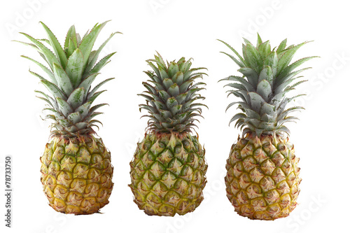 pineapple on isolated background © romeo61