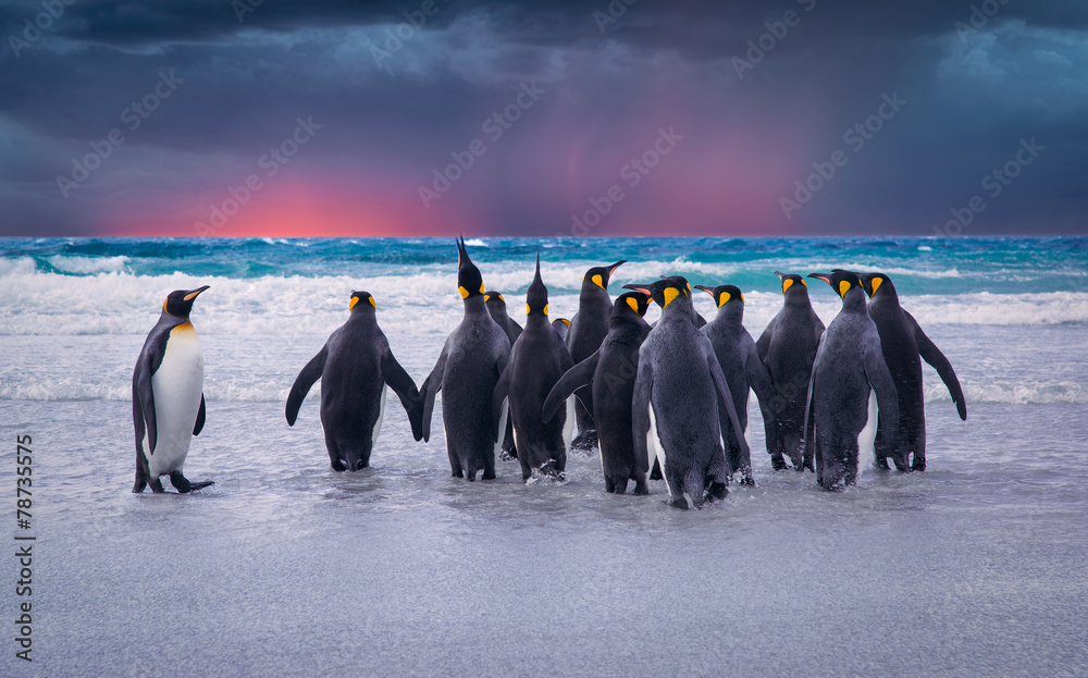 Fototapeta premium Left Behind