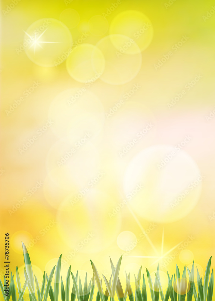 Obraz premium Spring vector background.