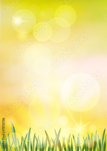Spring vector background.