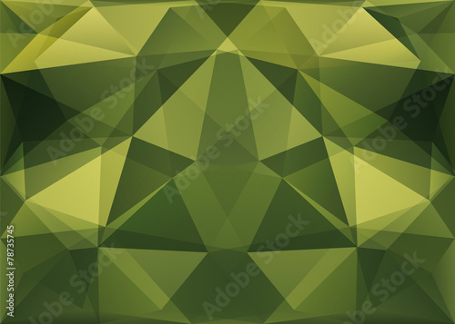Abstract military camouflage polygonal background. Vector EPS10.