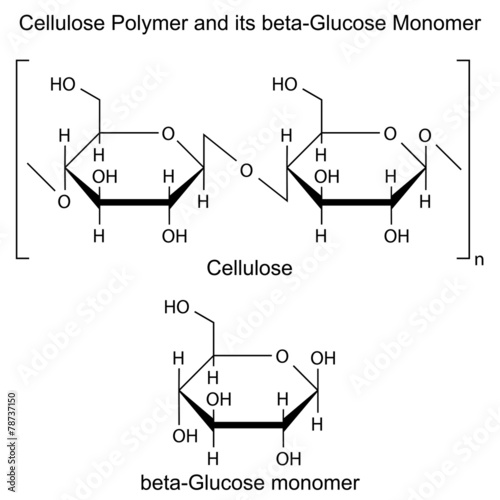 Structural formula of cellulose polymer