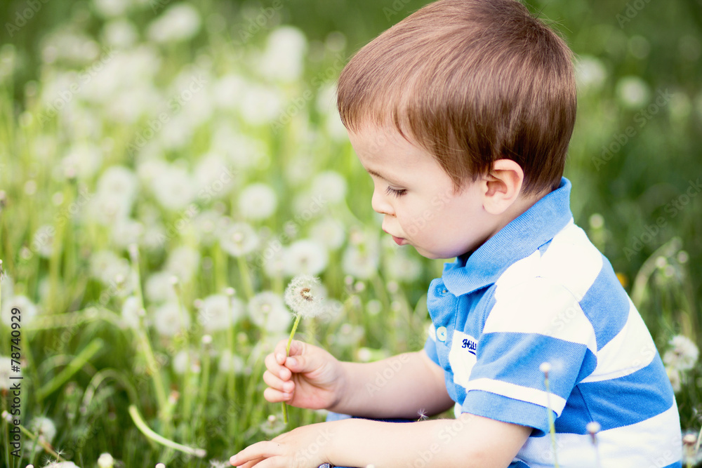 Little boy, blowing dandelions in the park Little boy, blowing dandelions in the park