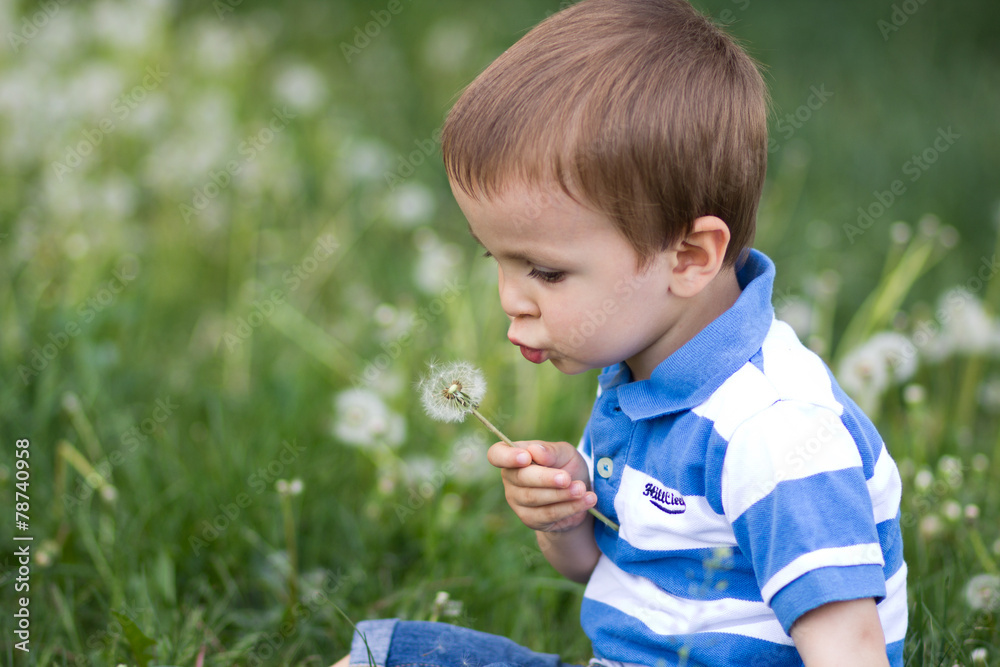 Little boy, blowing dandelions in the park Little boy, blowing dandelions in the park