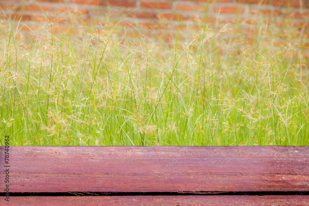 Fototapeta premium Green grass with Red brick wall background.