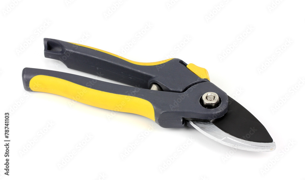 garden pruner isolated on a white background garden pruner isolated on a white background