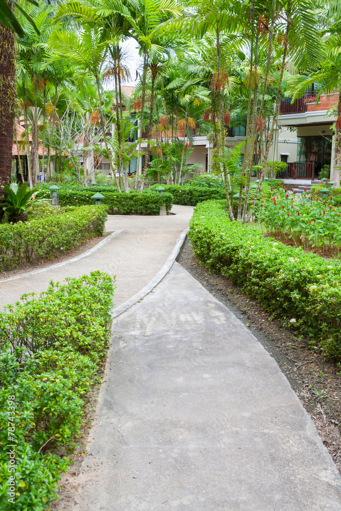 walkway in garden