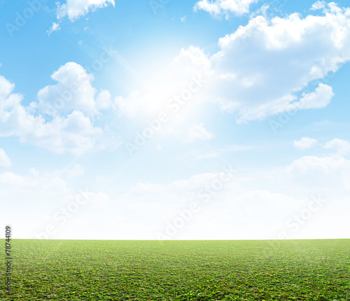 Plain Grass And Blue Sky