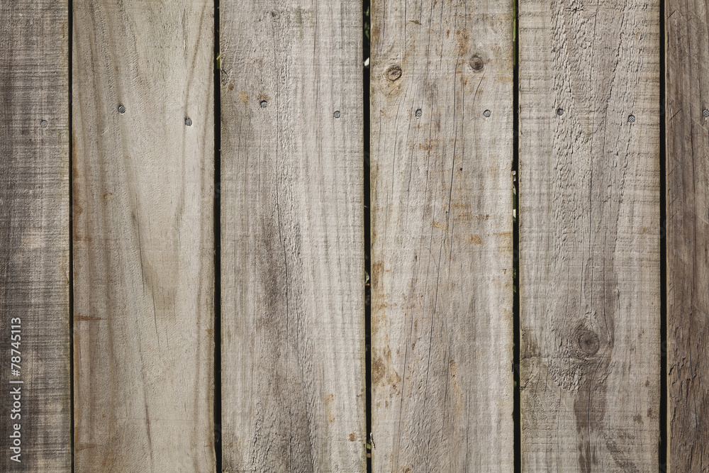 Fototapeta premium Alte Holztür, Holz, formatfüllend