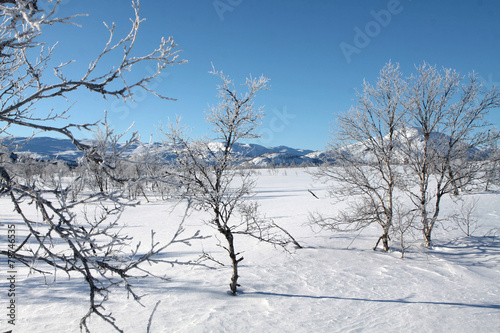 Hovden im Winter, Norwegisches Wintersportgebiet photo