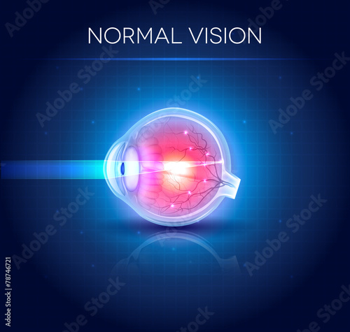 Normal eye vision. Bright blue background