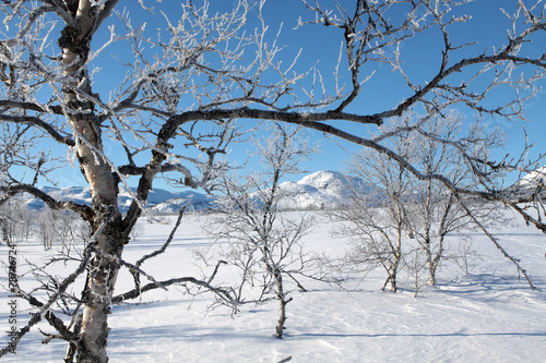 Hovden im Winter, Norwegisches Wintersportgebiet photo