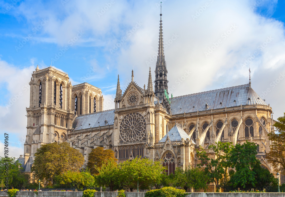 Obraz premium Katedra Notre Dame we Francji