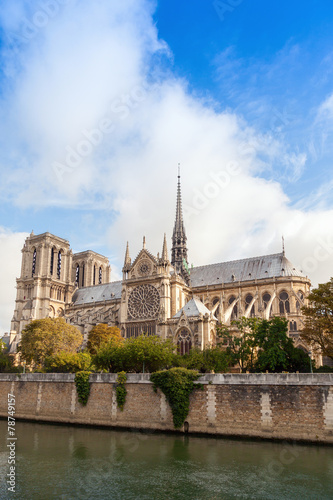 Notre Dame de Paris  vertical photo