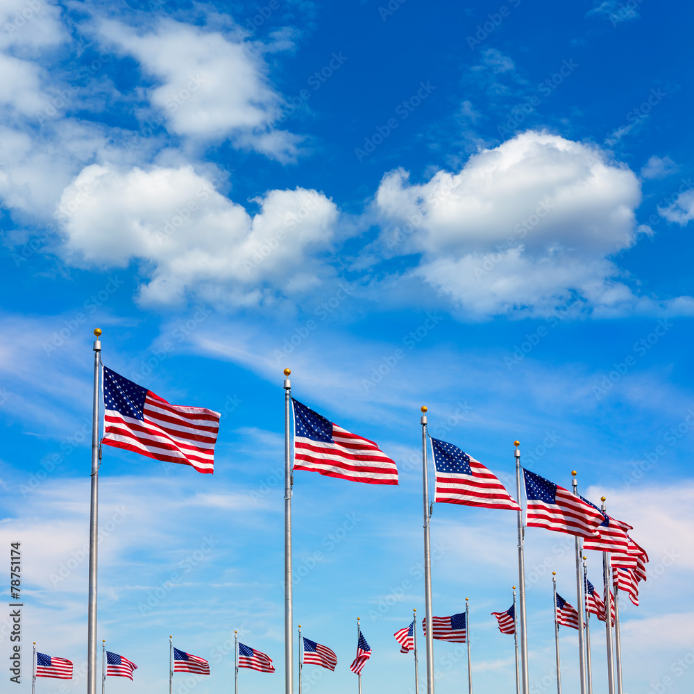 Washington Monument flags circle in DC USA Washington Monument flags circle in DC USA