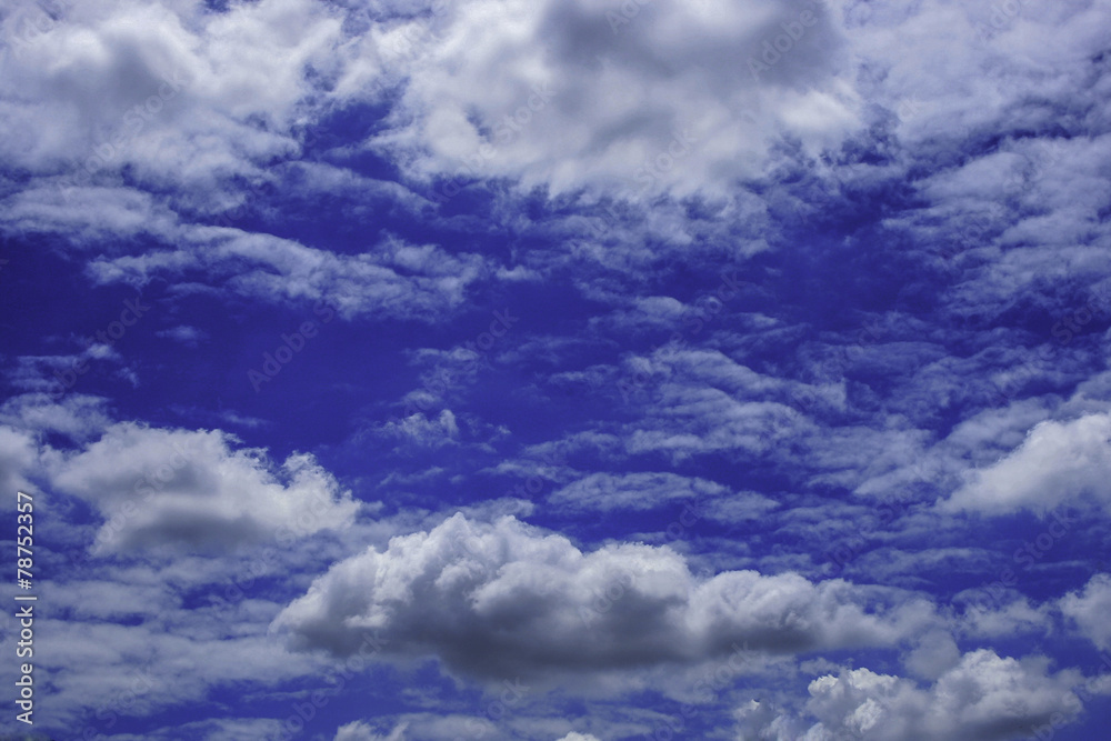 Fototapeta premium blue sky with cloud closeup