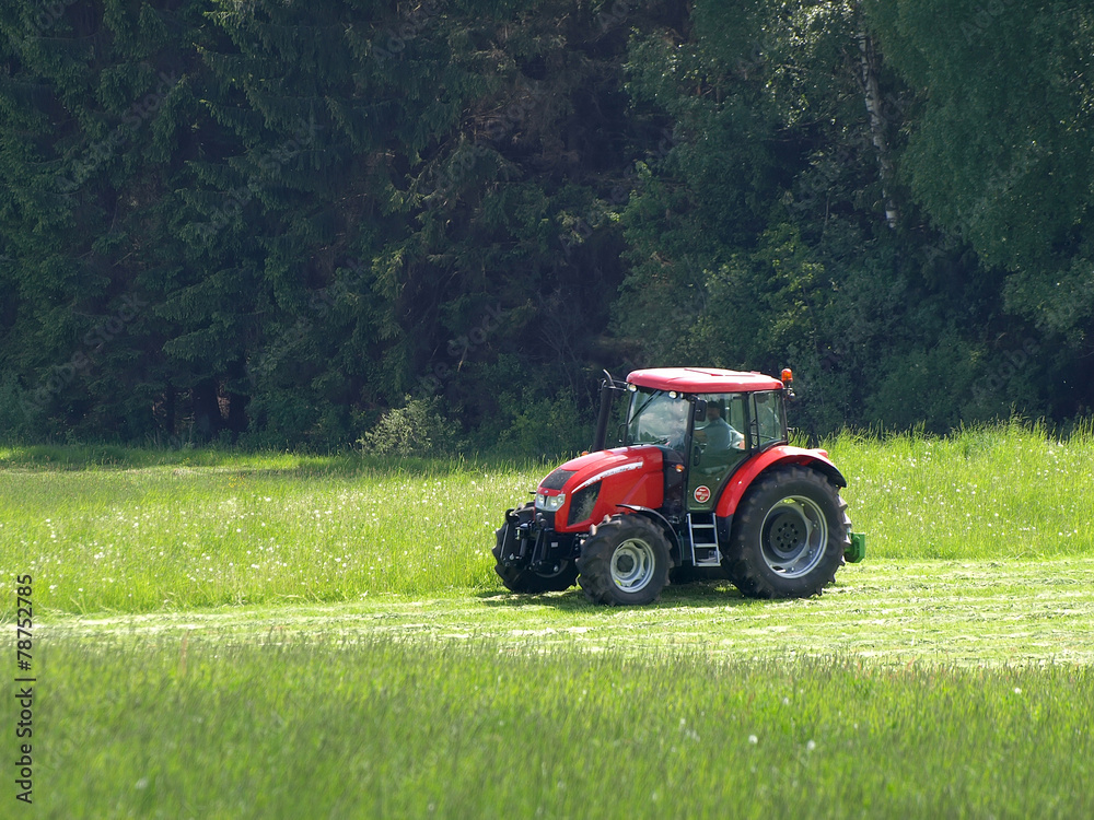 Obraz premium A red tractor mows grass in a meadow. Spring or summer. The photo is slightly sun-kissed with vivid lighting. A dark forest is in the background.