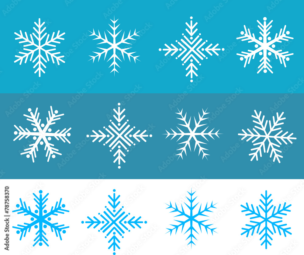 Snow flakes illustration vector in white and blue colors