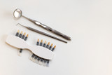 Plastic Dental implant to choose color tone of teeth