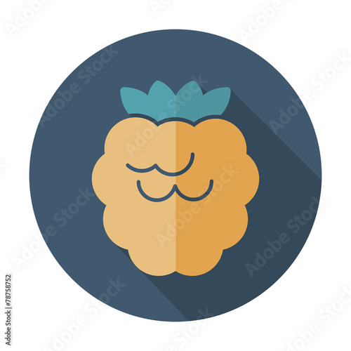 Raspberry flat icon with long shadow