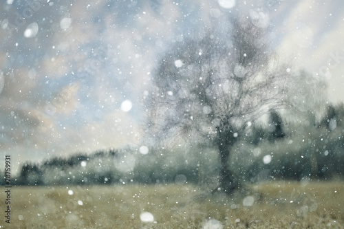 blurred background snowy forest nature park © kichigin19