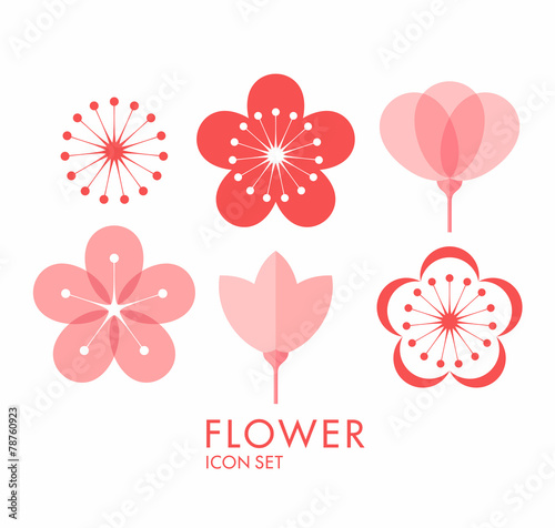 Carta da parati il sakura - Carta da parati Flower. Icon set. Sakura