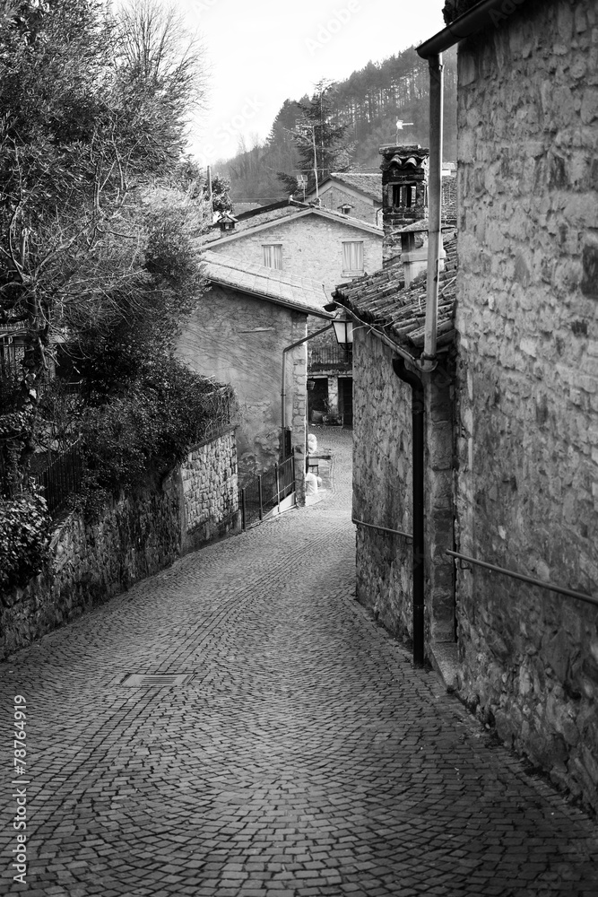 Oltrepo old village detail. Black and white photo Oltrepo old village detail. Black and white photo